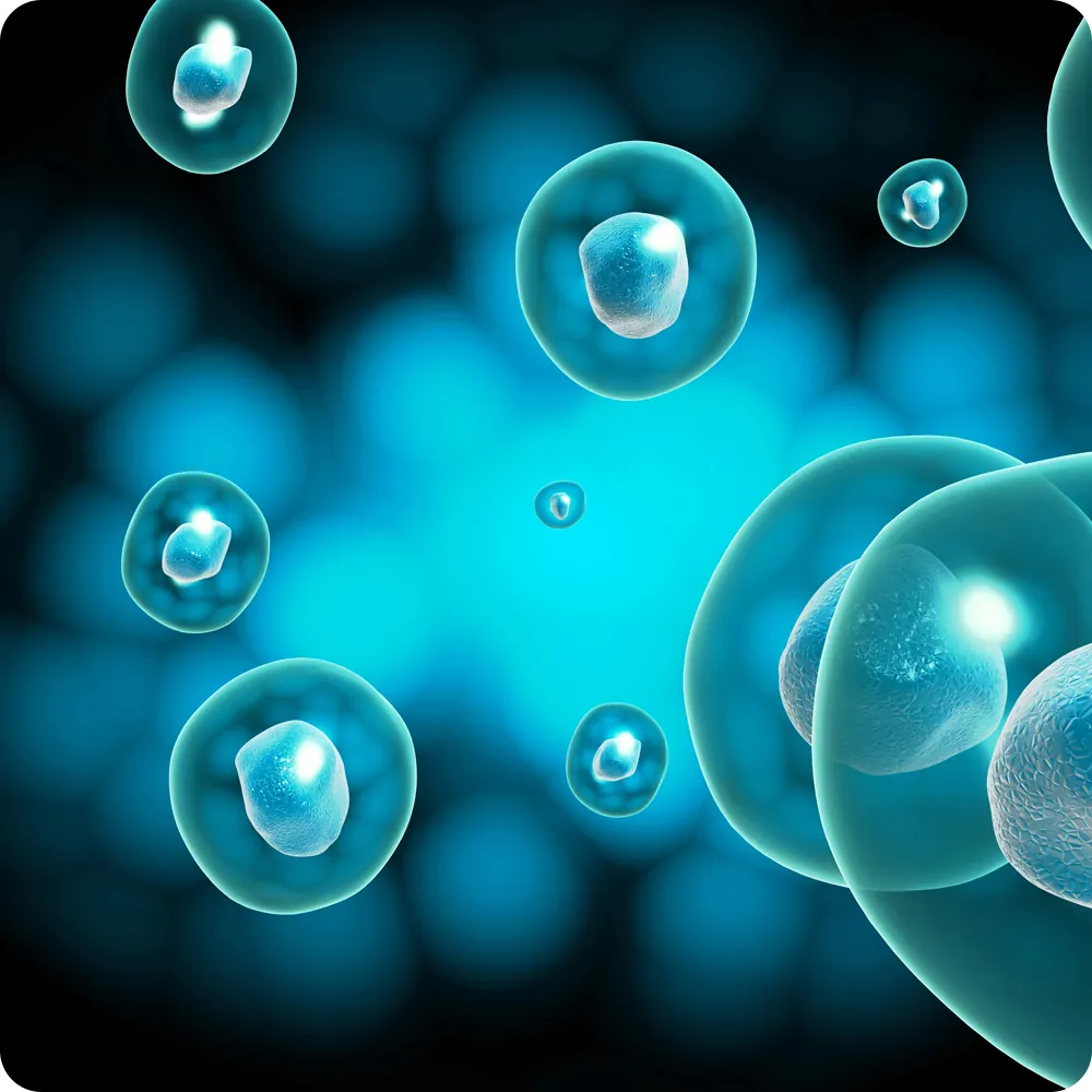 An illustration of energy moving through the body’s cells
